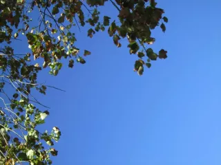 Arbeitsblatt: Unlearn racism – learn diversity. Schwarze Identitäten sichtbar machen