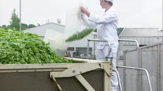 Video: Fachkraft - Lebensmitteltechnik