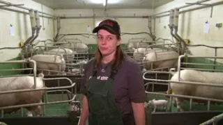 Video: Tierwirt/in - Schweinehaltung