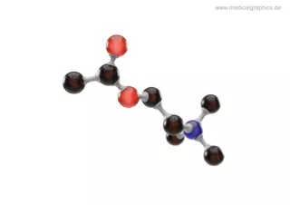 Bild: Acetylcholin