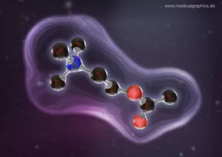 Bild: Acetylcholin