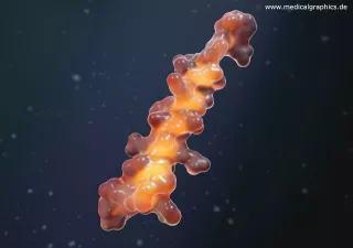 Bild: Glukagon