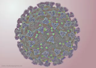Bild: Coronavirus