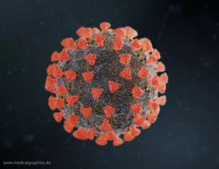 Bild: Coronavirus Elektronenmikroskop