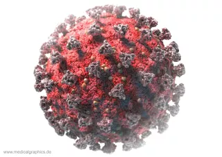 Bild: Coronavirus