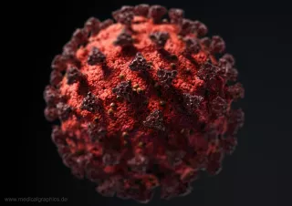 Bild: Coronavirus