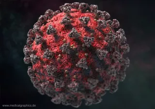 Bild: Coronavirus