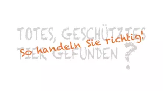 Video: TOTFUND VON WILDTIEREN - richtig handeln!