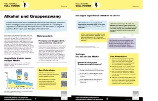 Arbeitsblatt: Arbeitsblatt: Alkohol und Gruppenzwang