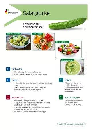 Text: Lebensmittel-Infoblatt: Salatgurke