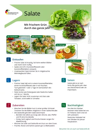 Text: Lebensmittel-Infoblatt: Salate