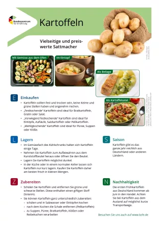 Text: Lebensmittel-Infoblatt: Kartoffel