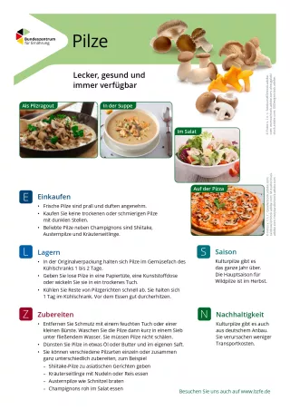 Text: Lebensmittel-Infoblatt: Pilze