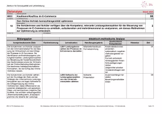 Unterrichtsplanung: Den Online-Vertrieb kennzahlengestützt optimieren: Zielanalyse (PDF)