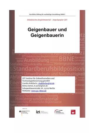 Unterrichtsbaustein: BBNE für Geigenbauer/innen - Impulspapier