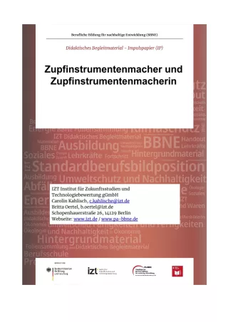 Unterrichtsbaustein: BBNE für Zupfinstrumentenmacher/innen - Impulspapier