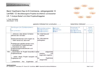 Unterrichtsbaustein: Lernsituationsbeschreibung: "Analyse Bedarf und Ziele Projektauftraggeber" (LF 12)