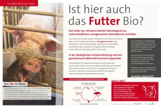 Text: Schautafel ökologische Schweinehaltung: Fütterung