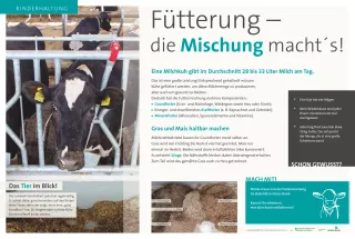 Text: Schautafel Milchkuhhaltung: Fütterung