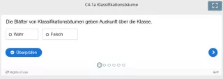 Lernspiel: C4-1 Question Set: Klassifikationsbäume (Quiz zum Video)