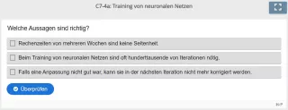 Lernspiel: C7-4 Multiple Choice: Training neuronaler Netze (Quiz zum Video)