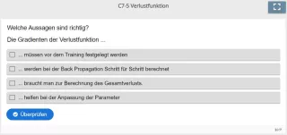 Lernspiel: C7-5 Multiple Choice: Gradienten der Verlustfunktion (Quiz zum Video)