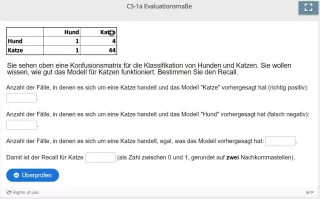 Lernspiel: C5-1 Fill in the Blanks: Bestimmen Sie den Recall für Katzen (Quiz zum Video)