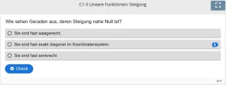 Lernspiel: C1-3 Multiple Choice: Wann wird die Steigung nahe Null? (Quiz zum Video)