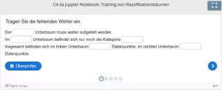 Lernspiel: C4-3 Question Set: Klassifikationsbäume - Teil 2 (Quiz zum Jupyter Notebook)