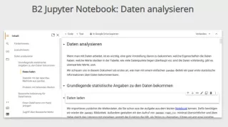 Sonstiges: B2 Jupyter Notebook: Daten analysieren