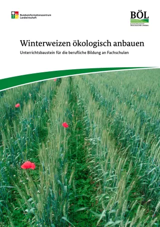 Unterrichtsbaustein: Winterweizen ökologisch anbauen