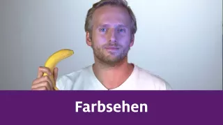 Video: Farbsehen