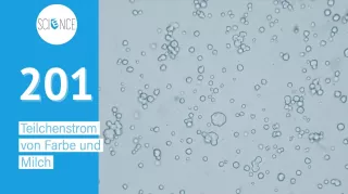 Video: Braunsche Bewegung mit Teilchenströmung (lange Version)