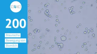 Video: Braunsche Bewegung von Fettpartikel in Bio Milch