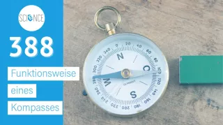 Video: Funktionsweise eines Kompasses
