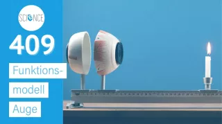 Video: Funktionsmodell Auge