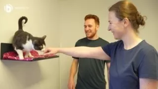 Video: Tierpfleger/in - Tierheim und Tierpension