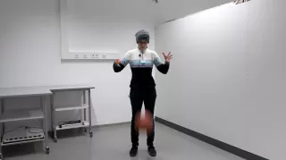 Video: Impulskanone