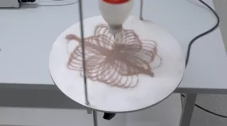 Video: Rosettenspur des Foucaultschen Pendels