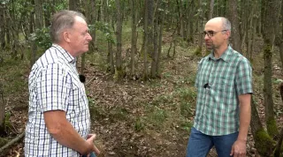 Video: Nachhaltigkeitskonzept der Waldkorporation Wiesen/Bad Staffelstein (Teil 2)