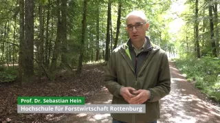 Video: 15) Einführung zur Überführung von Fichten-betonten Altersklassenwäldern hin zu plenterartigen Wäldern