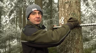 Video: 2) Struktur und Dimensionen im Plenterwald