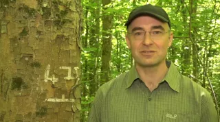 Video: Wertholzproduktion mit Edellaubbäumen (Teil 1)