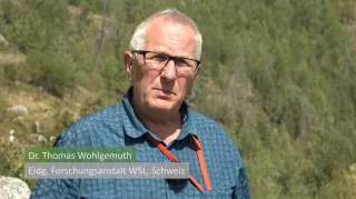 Video: Störungsökologie am Beispiel eines Waldbrands in Leuk (Teil 2)