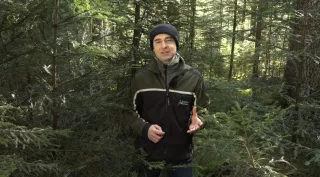 Video: 5) Naturverjüngung und Plenterwald