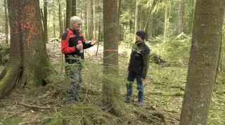 Video: 8) Plenterung im bäuerlichen Privatwald: Interview mit Hofbesitzer (Teil 3)
