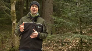 Video: 9) Entwicklungsphasen im Plenterwald und Vergleich mit Urwald