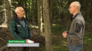 Video: 18) Fortgeschrittene Überführung von Fichten-betonten Altersklassenwäldern hin zu plenterwaldartigen Wäldern