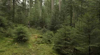 Video: 1) Einführung und Örtlichkeit Plenterwald