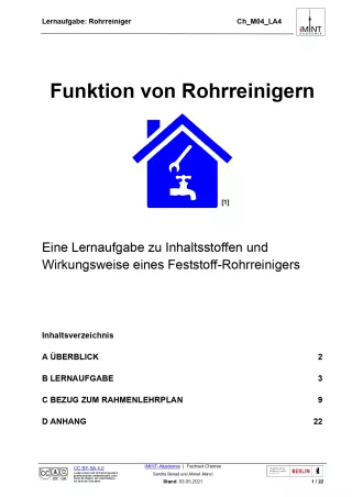 Unterrichtsbaustein: Rohrreiniger (DOCX)